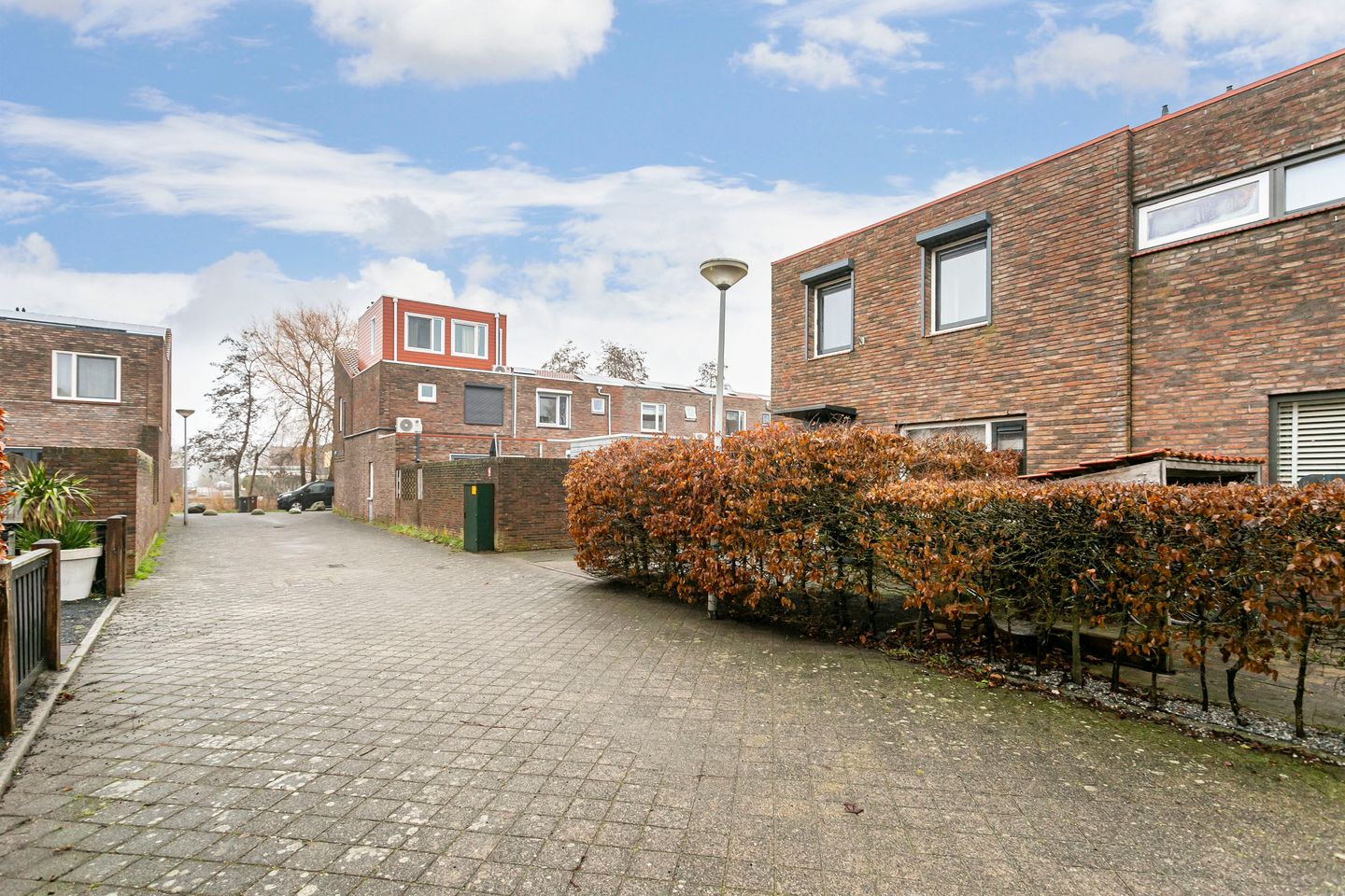 Foto 40 van Akkerdistel 2