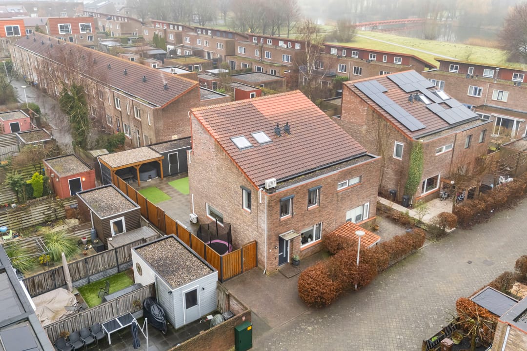 Foto 41 van Akkerdistel 2