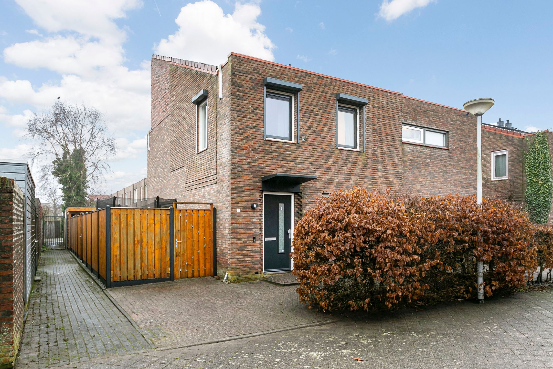 Foto 42 van Akkerdistel 2