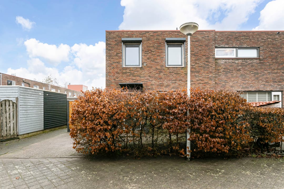 Foto 43 van Akkerdistel 2