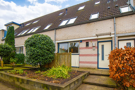 Martin Luther Kingstate thumbnail