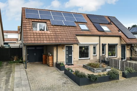 undefined main image