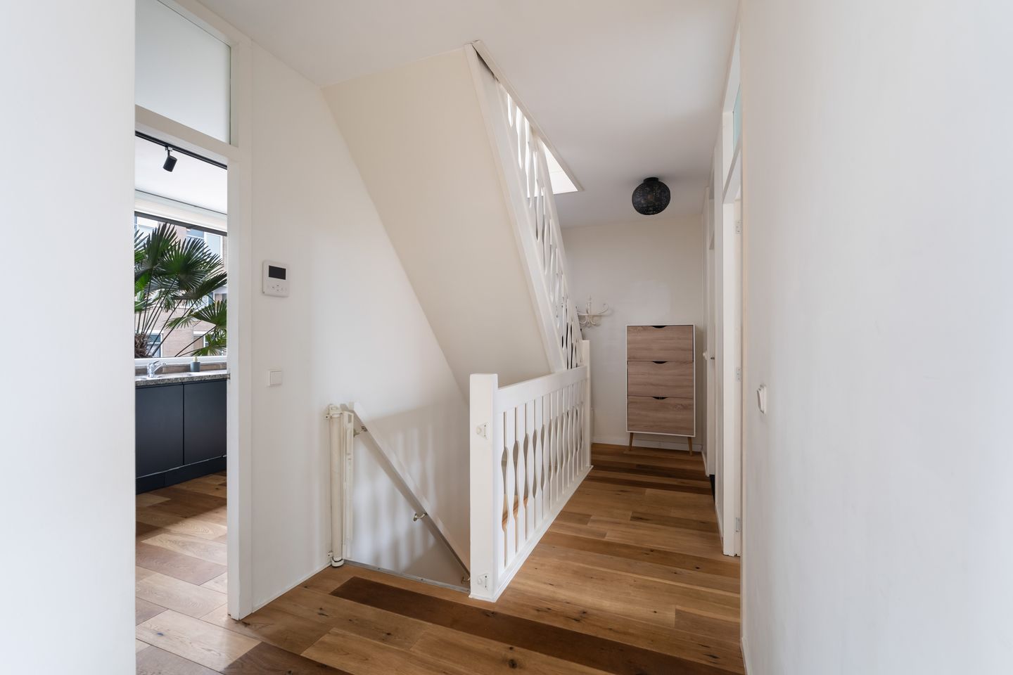 Foto 5 van Laan van de Mensenrechten 107