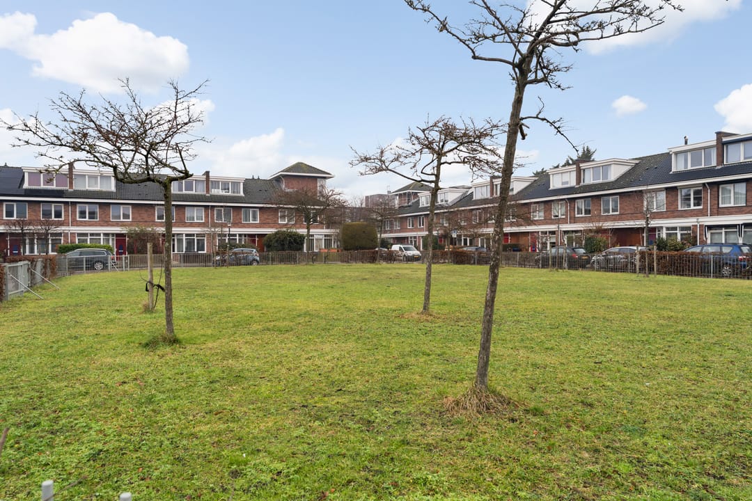 Foto 37 van Laan van de Mensenrechten 107