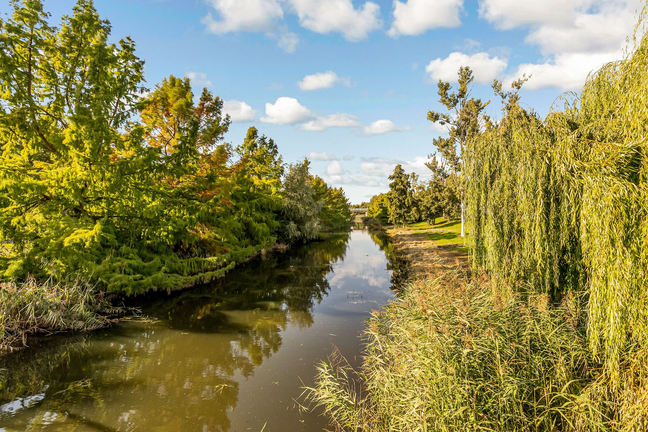 Foto 54 van Albrecht Dürerweg 50