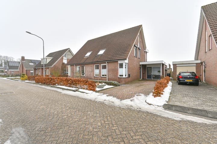 De Trippen 52 main image