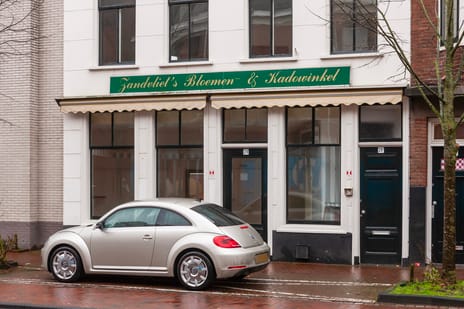 undefined main image