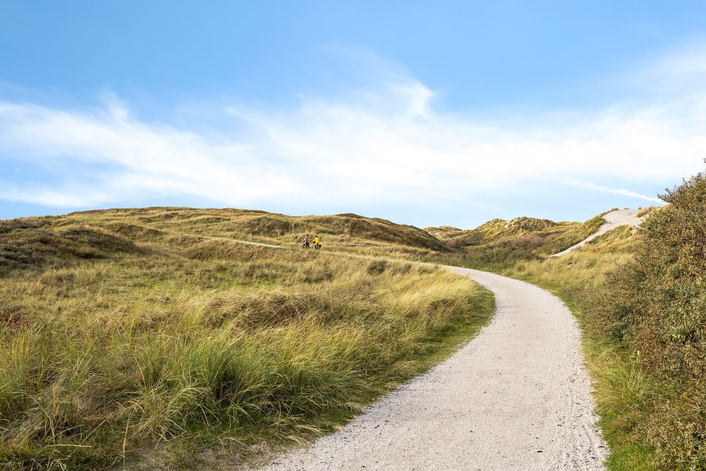 Foto 35 van Paasduinweg 6