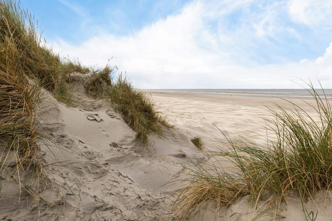 Foto 37 van Paasduinweg 6