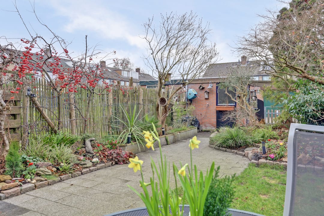 Foto 32 van Plutopad 10