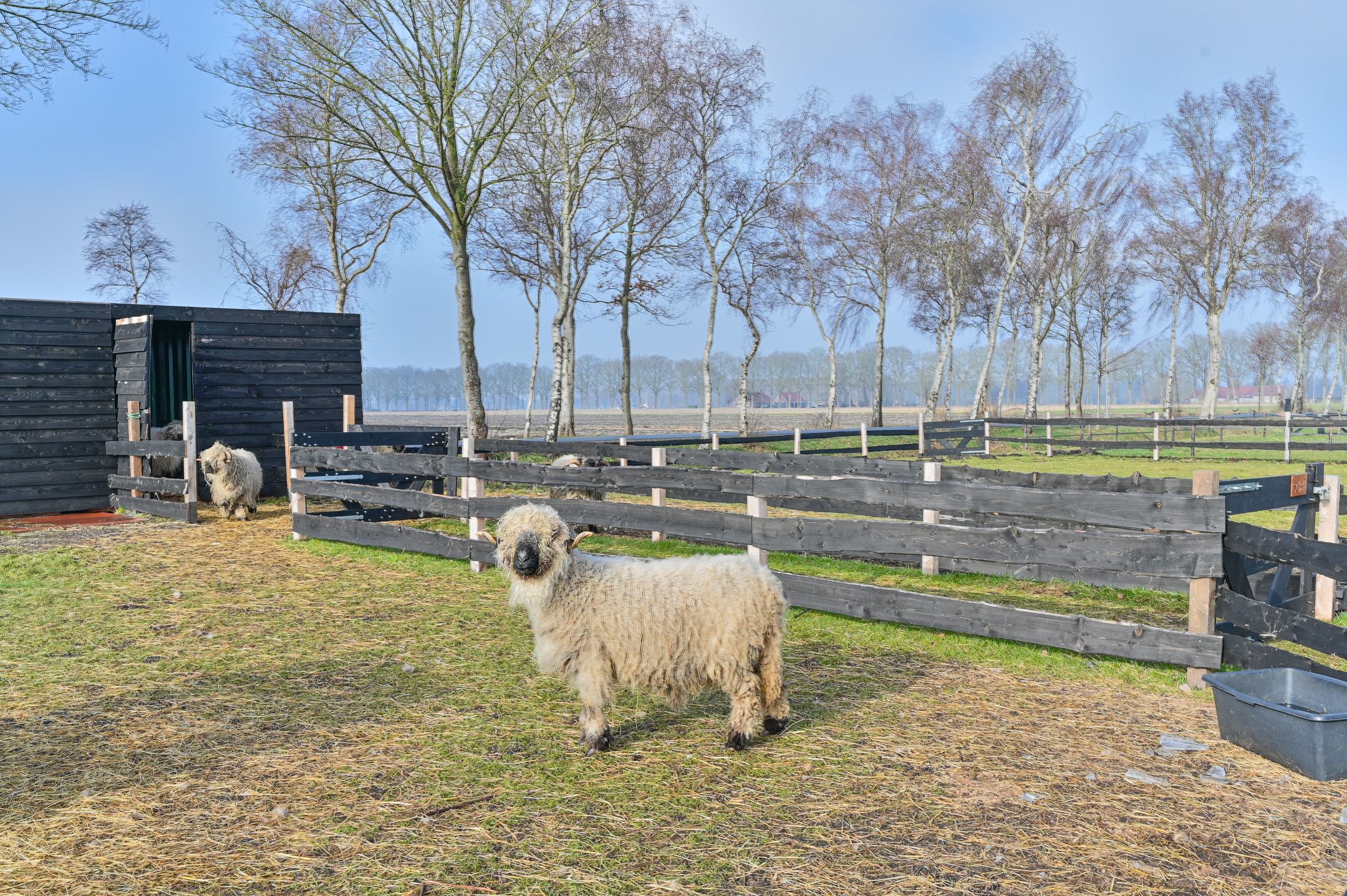 Photo 51 of Samuelswijk 5