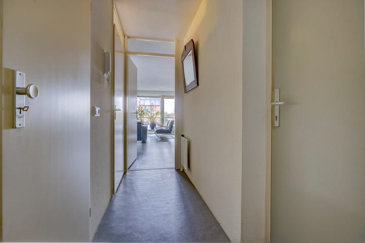 Foto 13 van Mambo 43