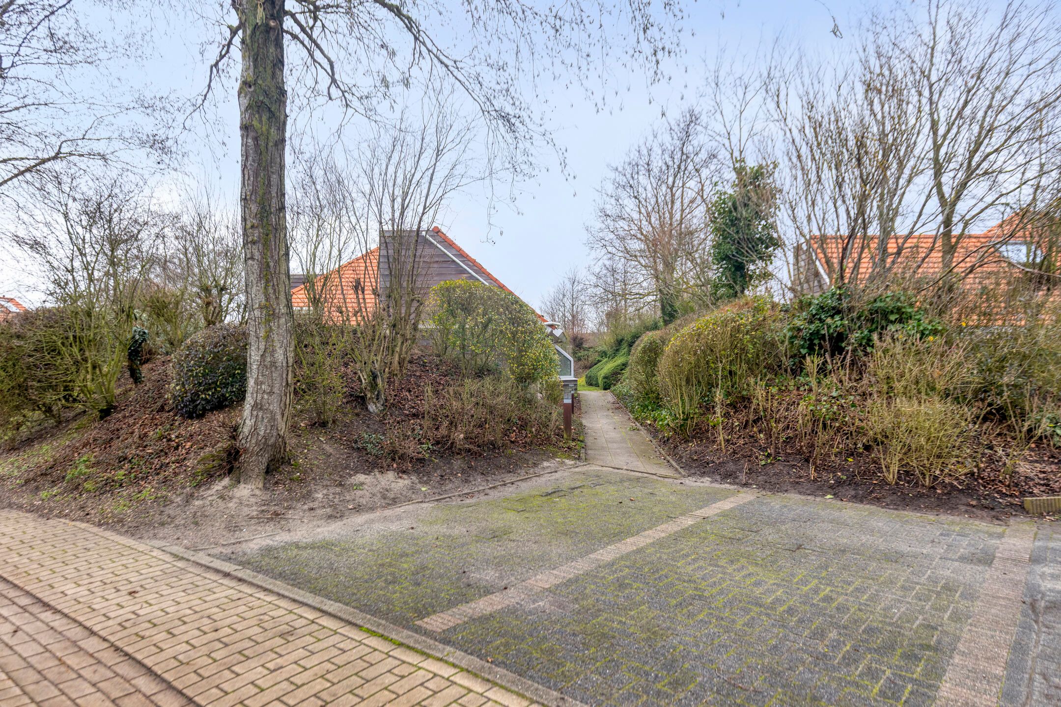 3-bedroom freehold villa in Zoutelande — photo 5 of 5