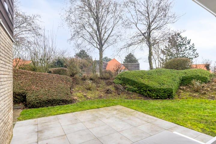 Photo 36 of Steenloper 10