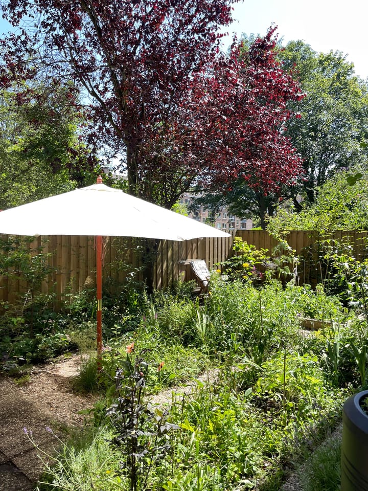 Foto 6 van Beemsterstraat 516