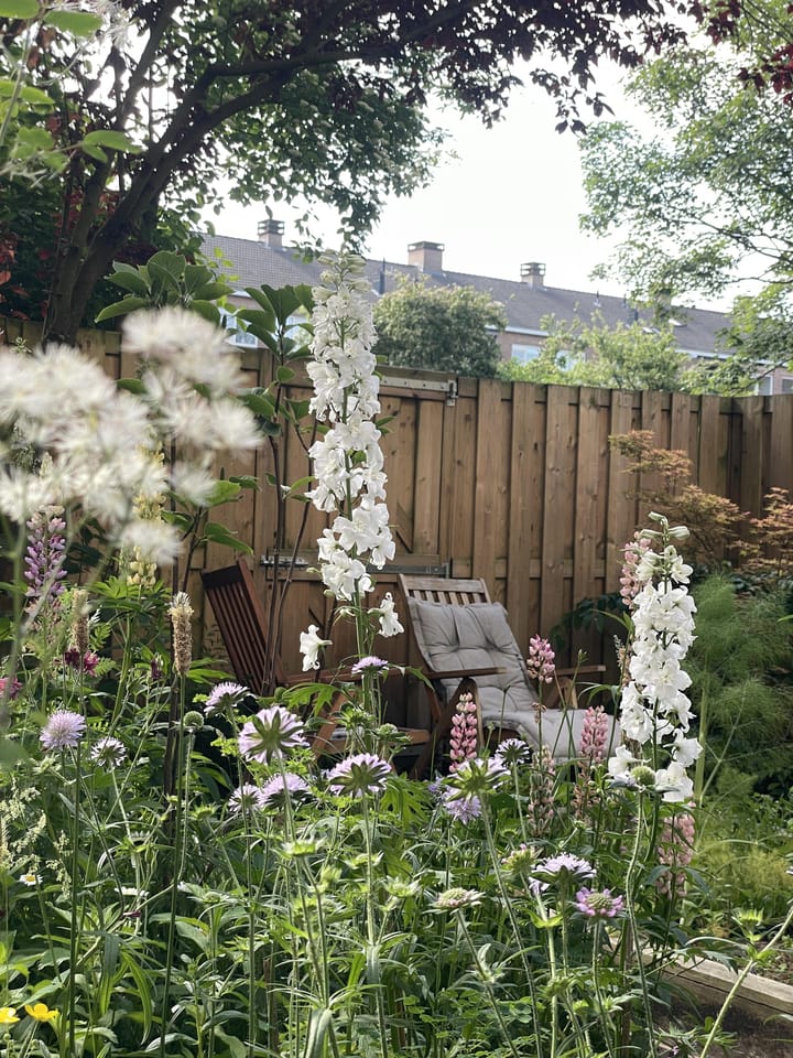 Foto 42 van Beemsterstraat 516