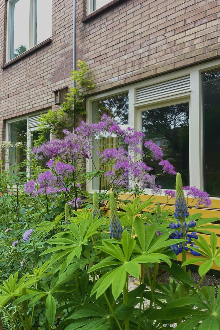 Foto 43 van Beemsterstraat 516