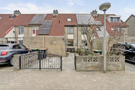 undefined main image