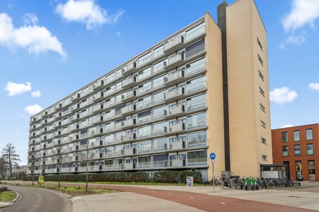 Rauwenhofflaan thumbnail