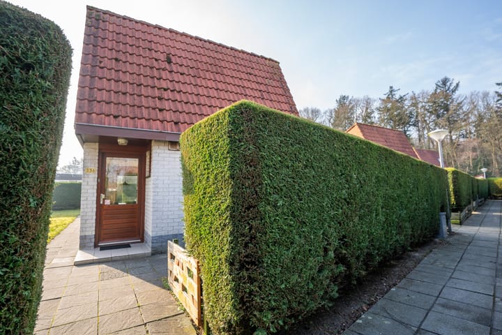 Foto 41 van Grensweg 336