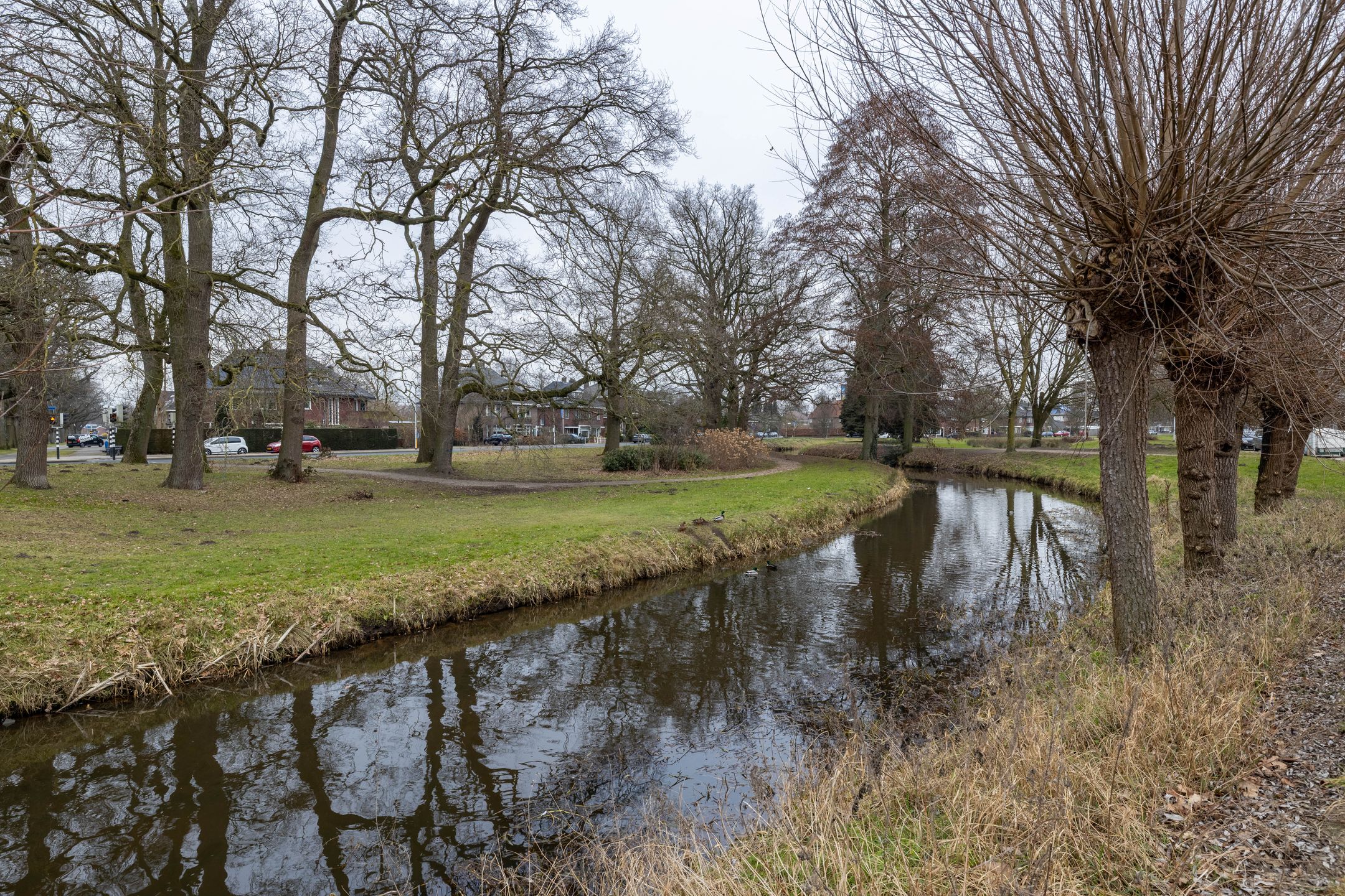 Foto 30 van Spreeuwenstraat 66