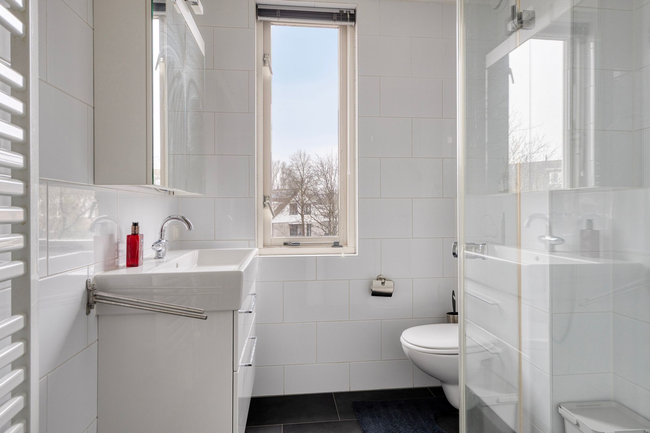 Foto 15 van De Nessermolen 37