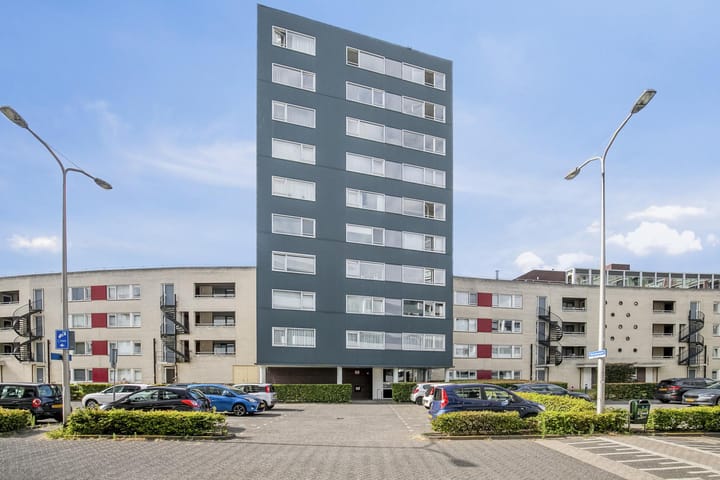 Foto 2 van Boksdoornerf 46