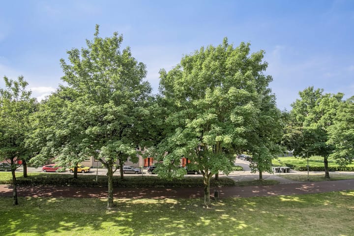 Photo 24 of Boksdoornerf 46