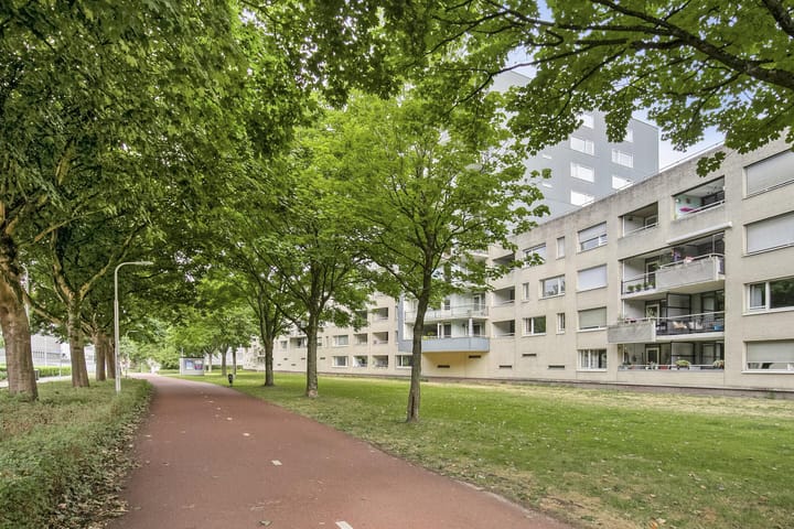 Photo 29 of Boksdoornerf 46