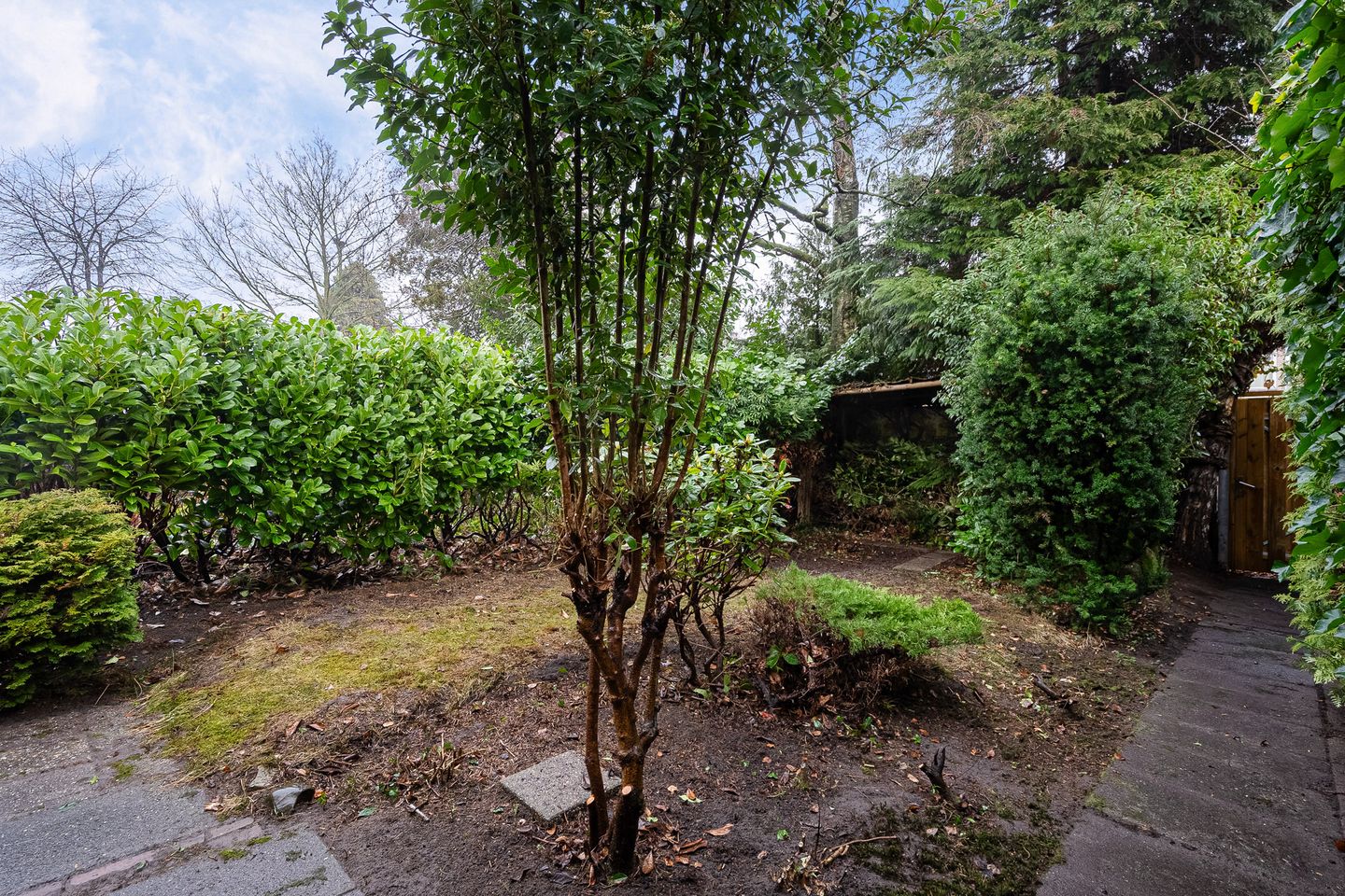 Foto 40 van Parelhoenstraat 13