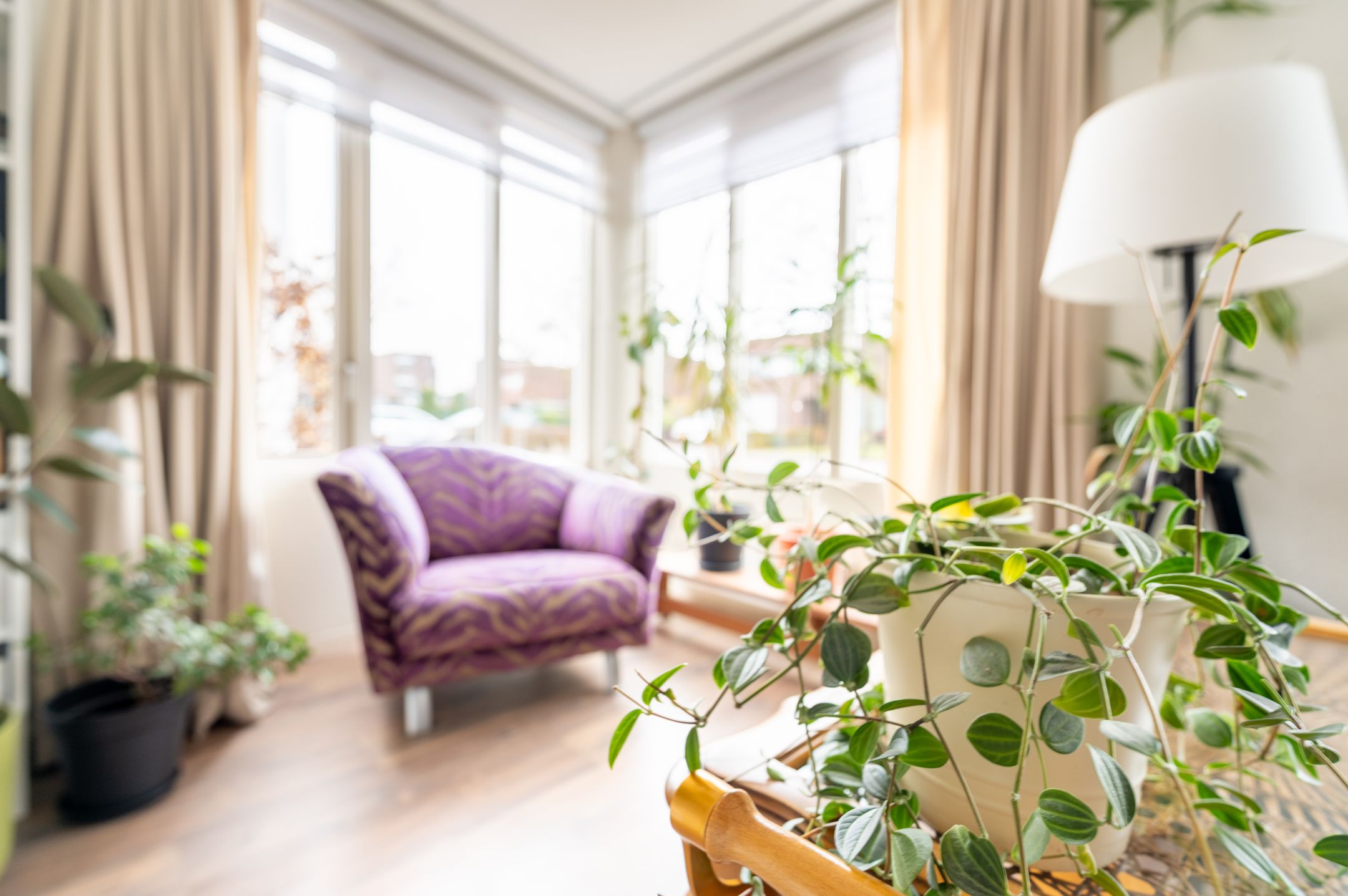 Photo 12 of De Bron 1