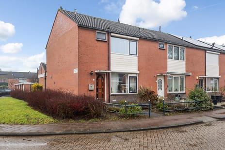 undefined main image