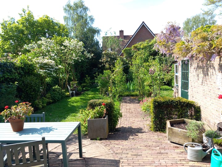 Foto 2 van Huijbert van Schadijckln 35