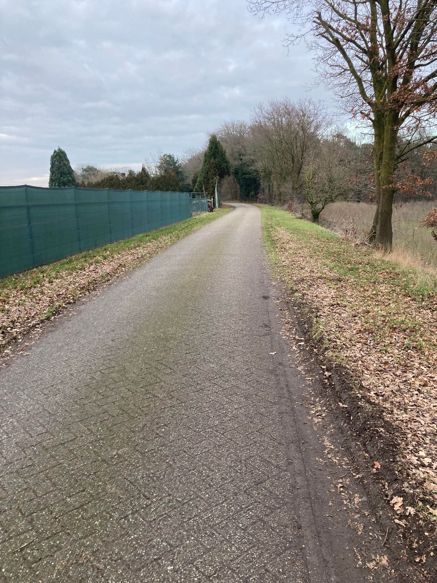 Bekijk foto 3 van Dijk