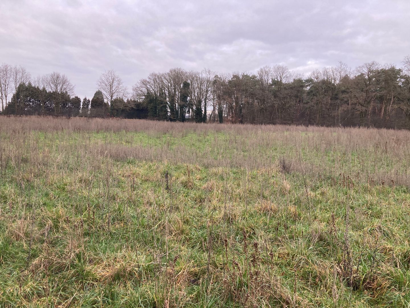 Bekijk foto 5 van Dijk