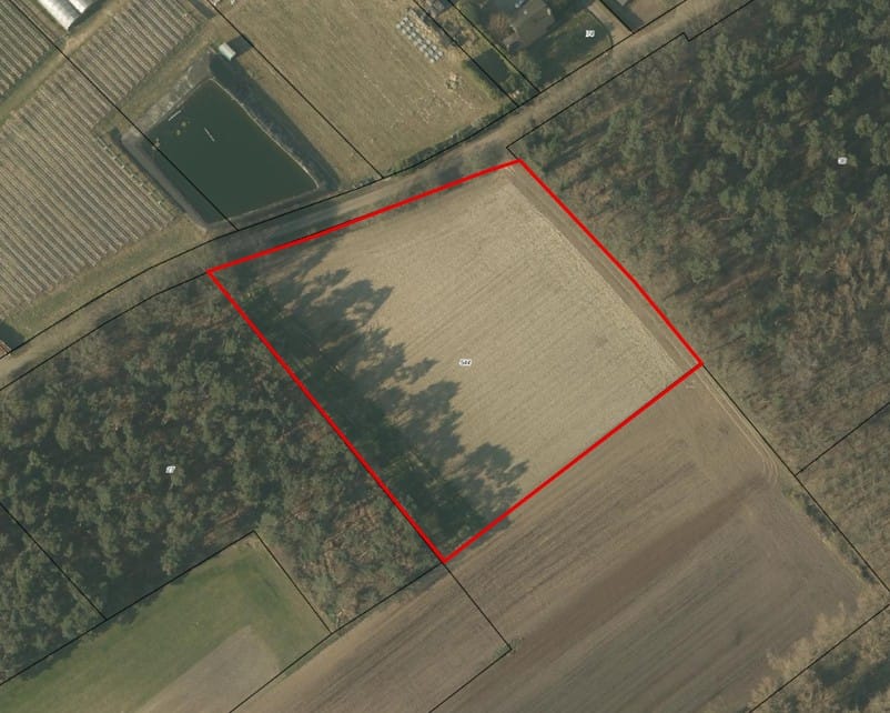 Bekijk foto 1 van Dijk