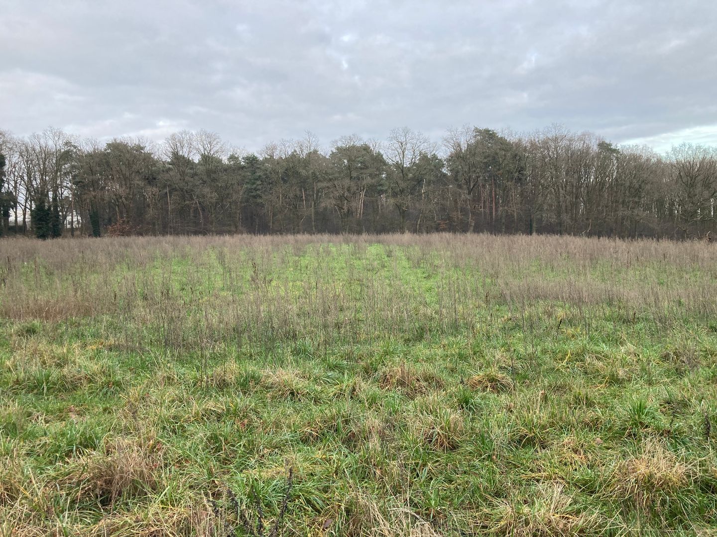 Bekijk foto 4 van Dijk