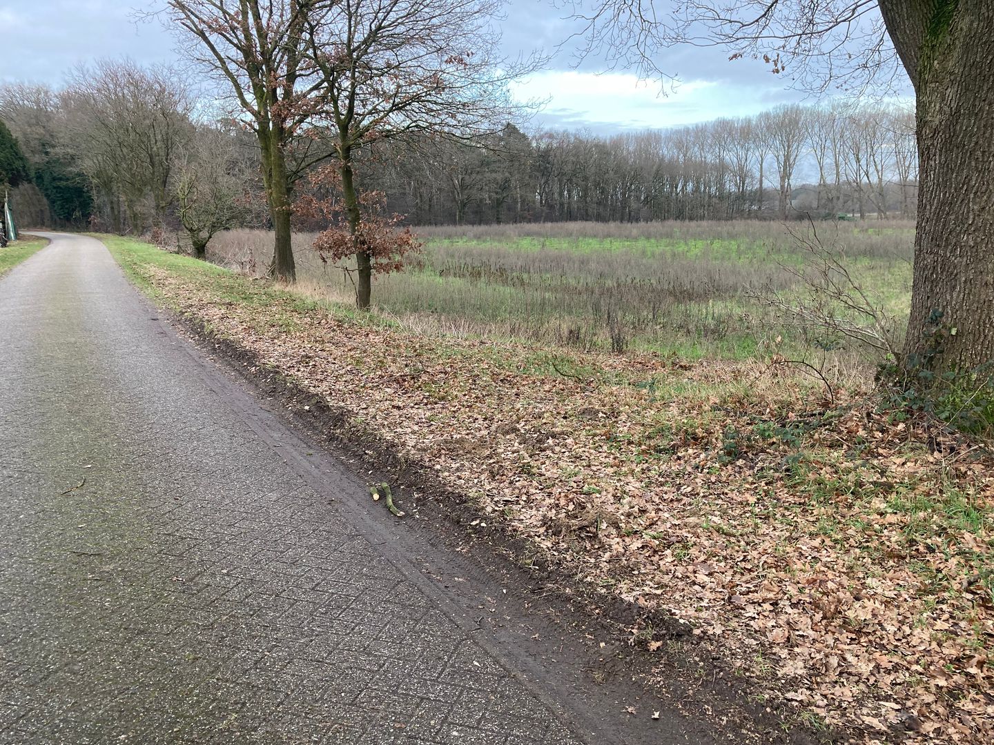 Bekijk foto 2 van Dijk