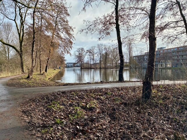 Foto 25 van Wilgenhoek 84