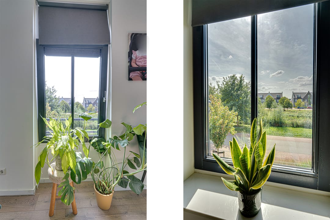 Foto 52 van Vedelplein 22