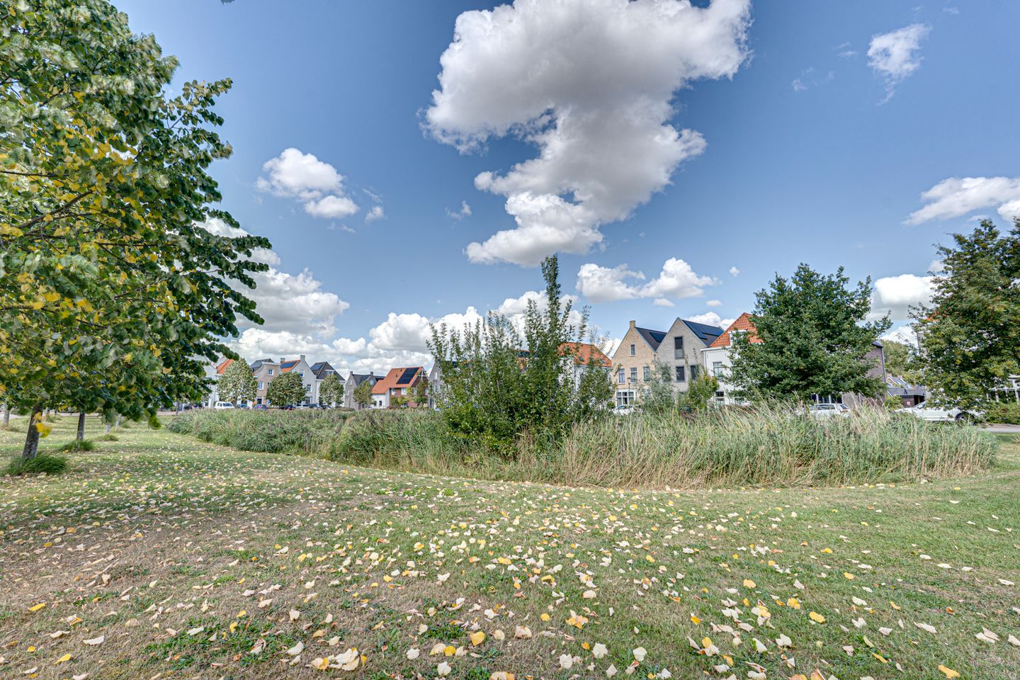 Foto 59 van Vedelplein 22