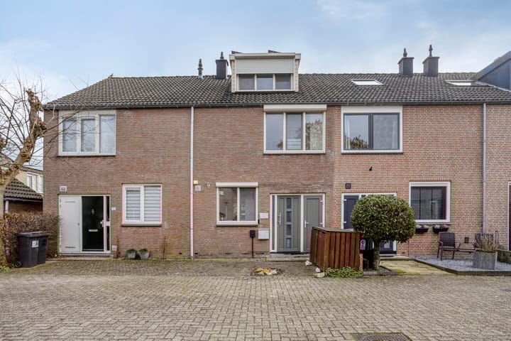 Catswende 170 main image