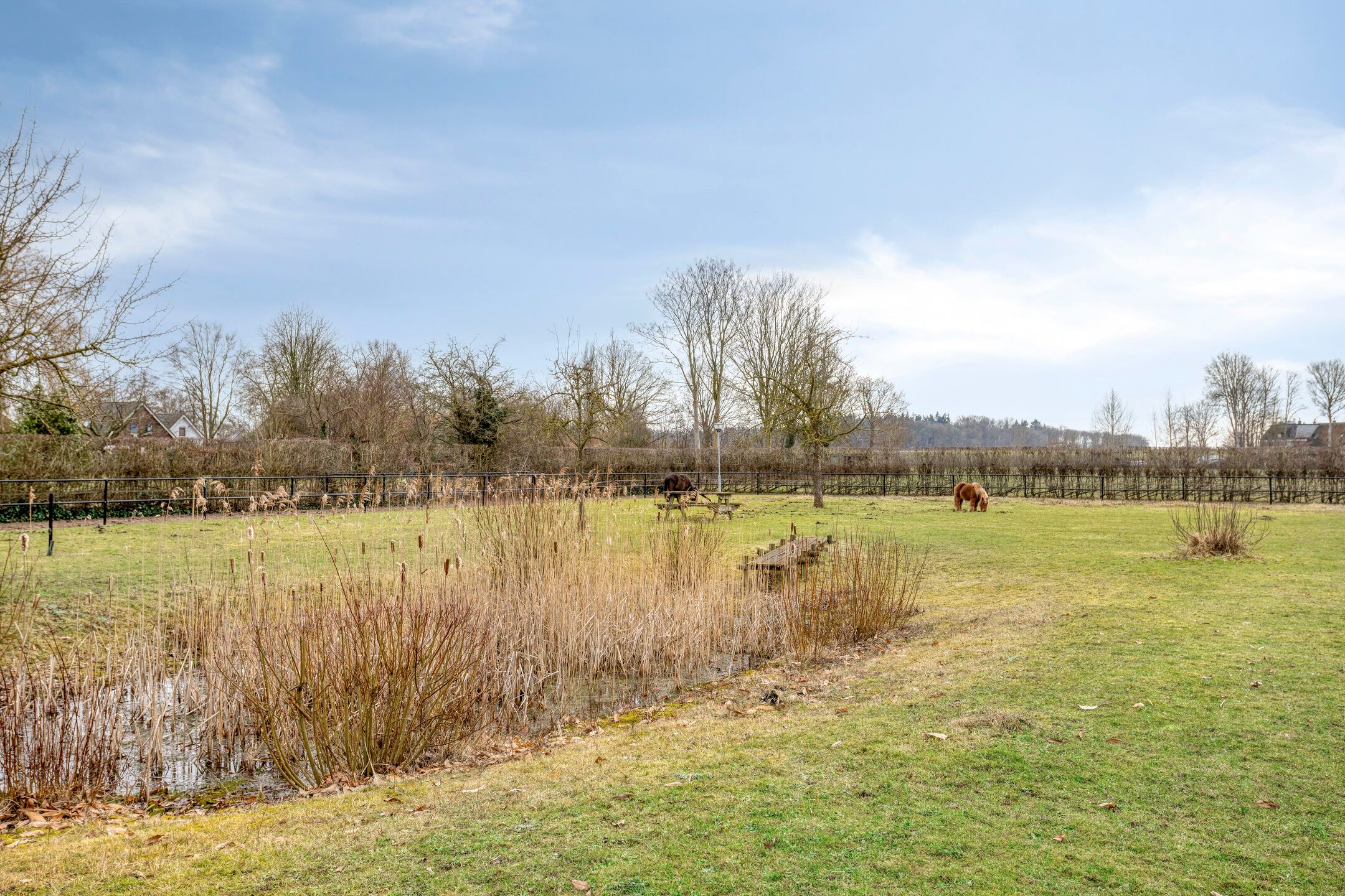 Foto 3 van Kerkstraat 40