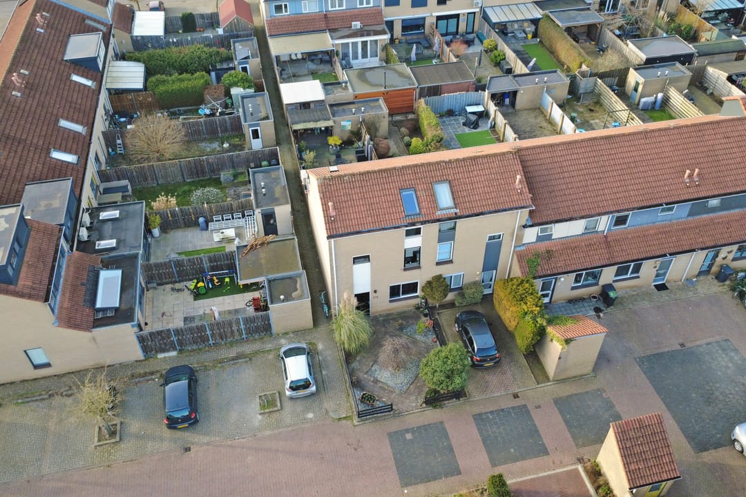 Foto 37 van Hollandse Morgen 22