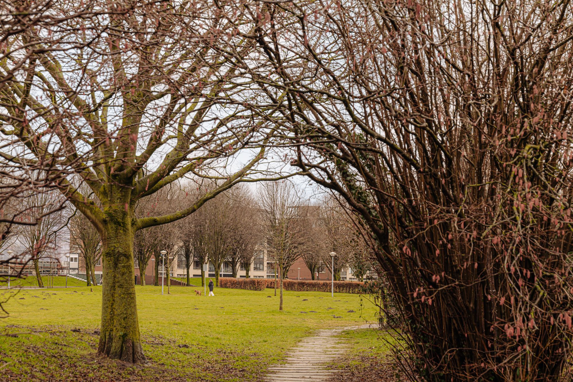 Photo 39 of Herentalsstraat 60