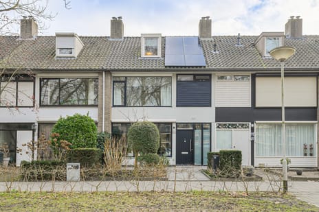 undefined main image