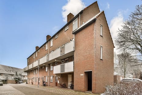 Thomsonstraat thumbnail