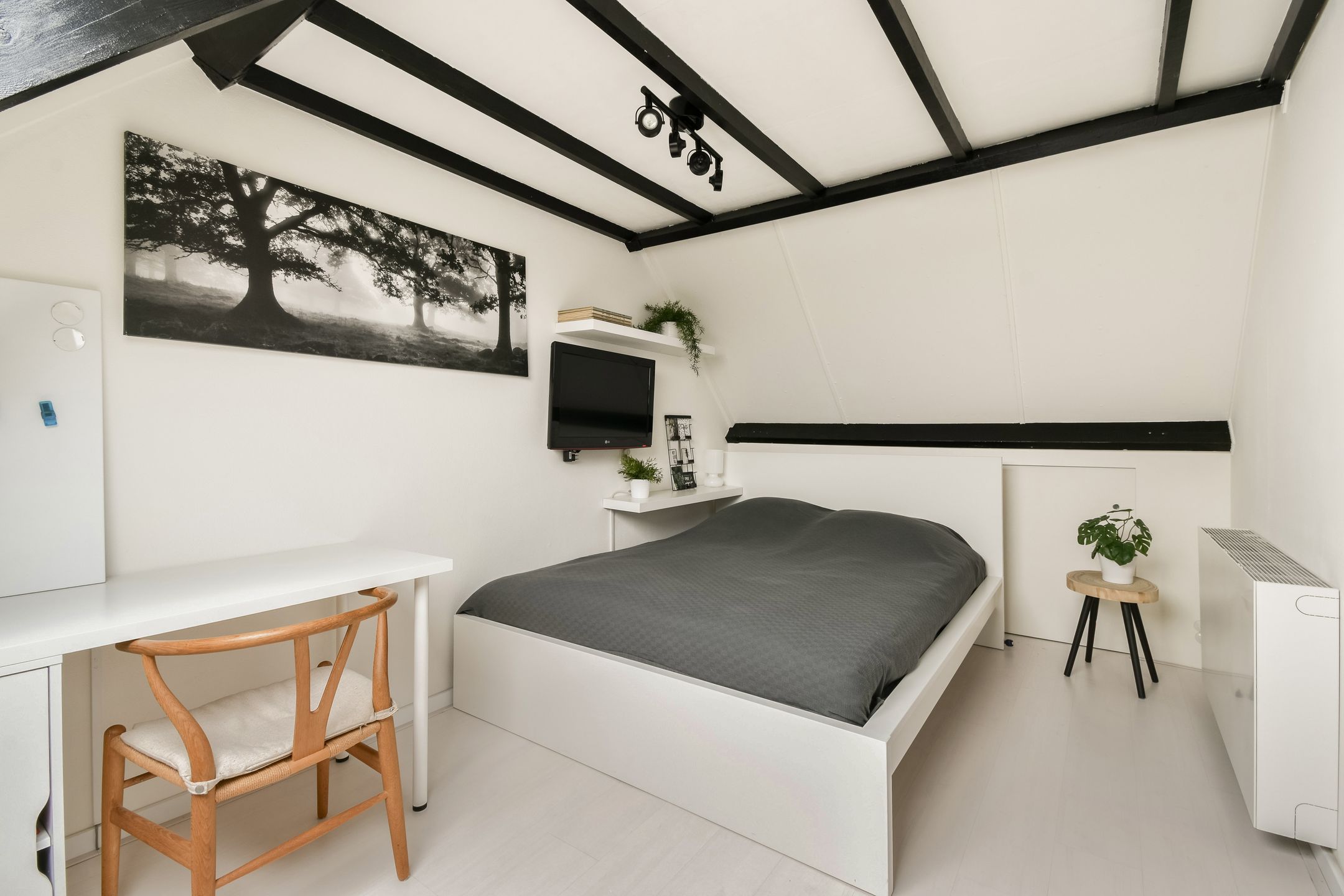 Photo 24 of Thomsonstraat 147