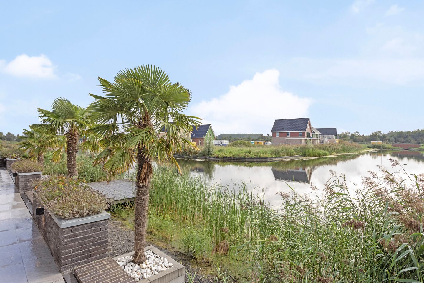 Foto 10 van Penningkruidstraat 2