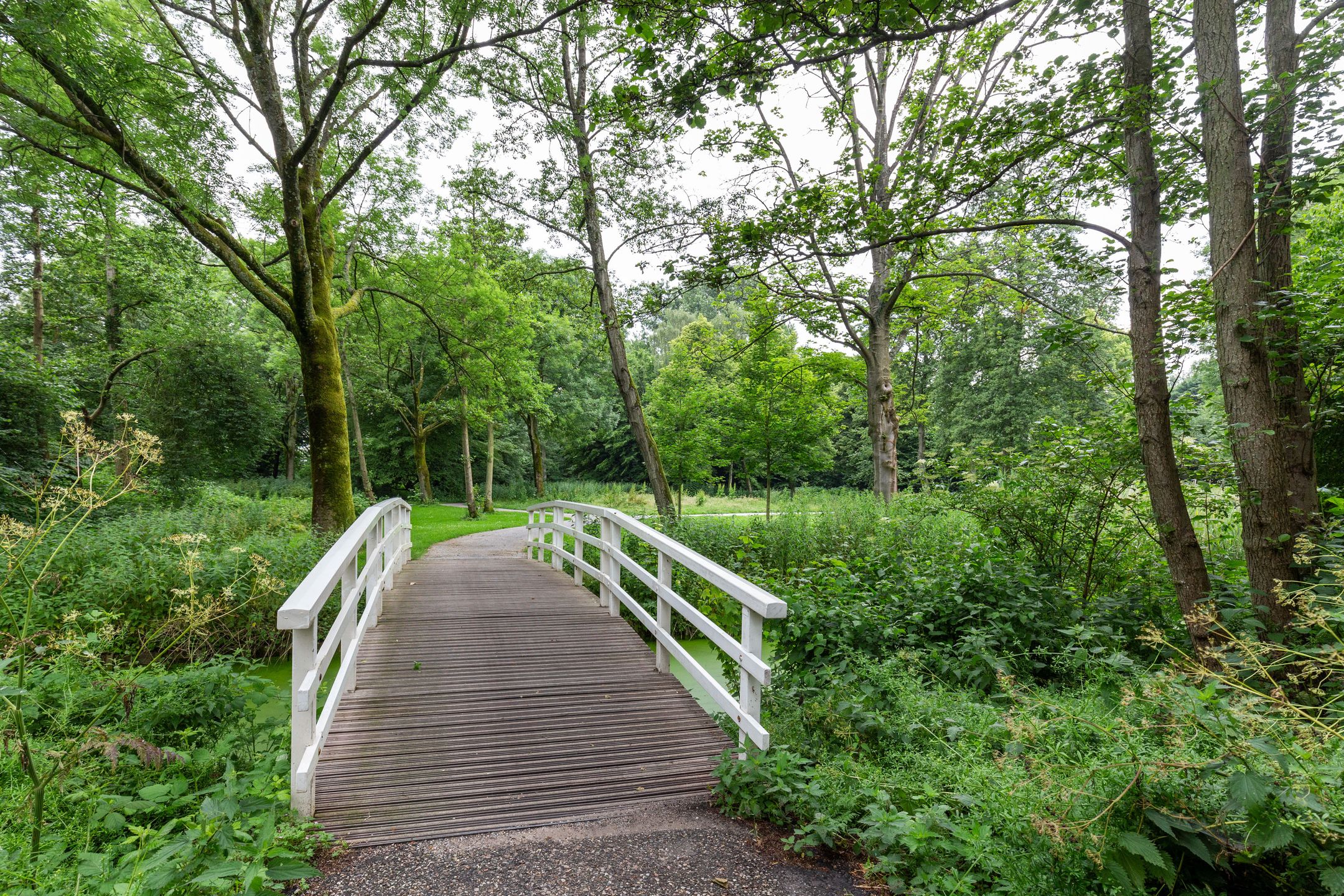 Foto 27 van Engelandlaan 760